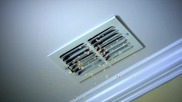 Best Emergency Air Duct Cleaning  in Cheyenne, WY